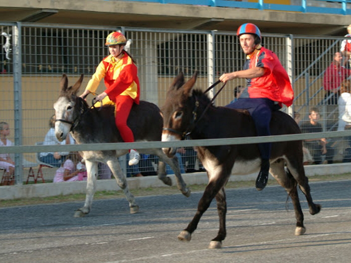 Palio dei micci